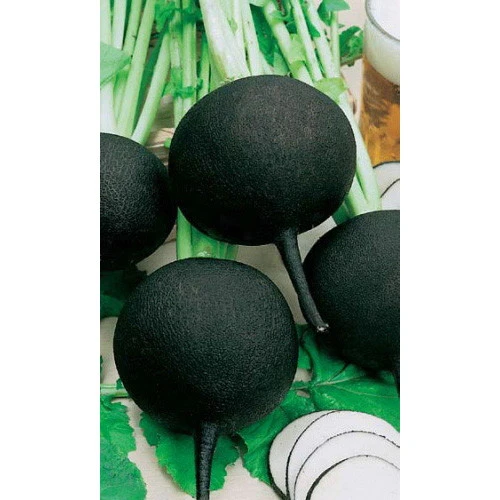 Семена Редька Зимняя круглая черная 1гр (УД) Е/П