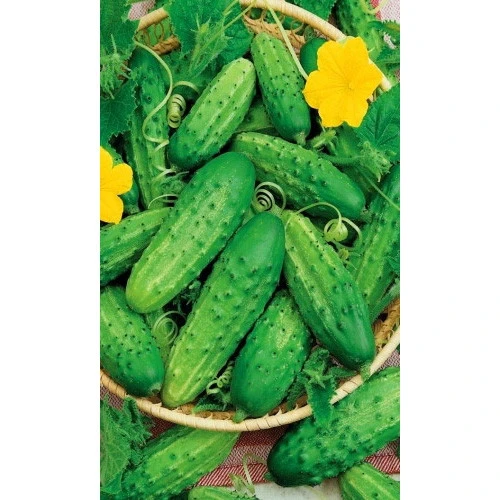 Семена Огурец Нежинский 10шт (УД) Е/П