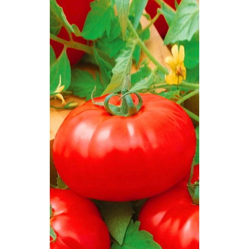Семена Томат Алые Паруса 20шт (УД) Е/П