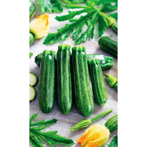 Семена Кабачок Сударь - цуккини 2гр (УД) Е/П