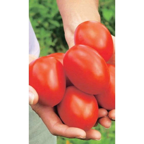 Семена Томат Испанский Гигант 20шт (УД) Е/П