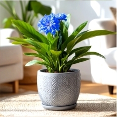 Все для цветов и растений