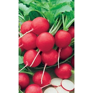 Семена Редис 16 дневный 2гр (УД) Е/П