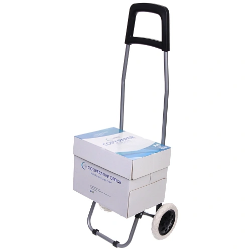 Тележка хозяйственная с сумкой (933326см, колеса 16см,грузоподъемность до 30 кг) города SYD-169_15