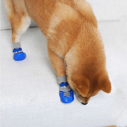 Бошмачки для животных прорезиненные на дождливую погоду LAPUSIK, цвет голубой, размер М, 5,5см_15