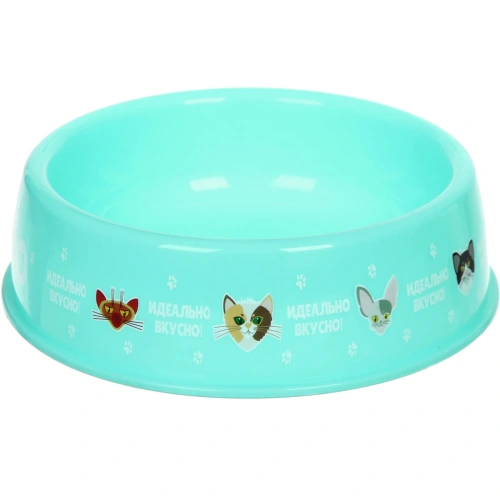 Миска пластиковая "МОЙ БРО - Идеально вкусно!, цвет мятный  21*6,5см (логотип на миске) 700мл