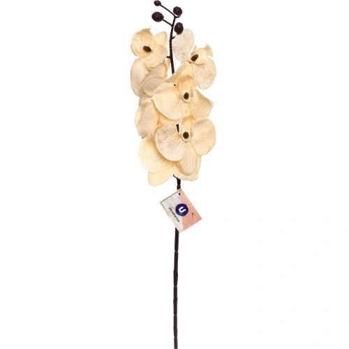 Искусственные цветы "FLOWERS MAGIC" 70см Орхидея кремовая