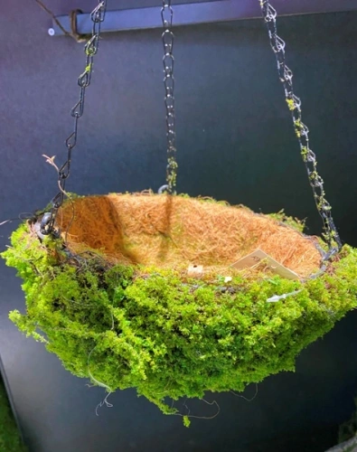 Кашпо для цветов "Сфагнум" с кокосовым волокном, подвесное d=20см, мох