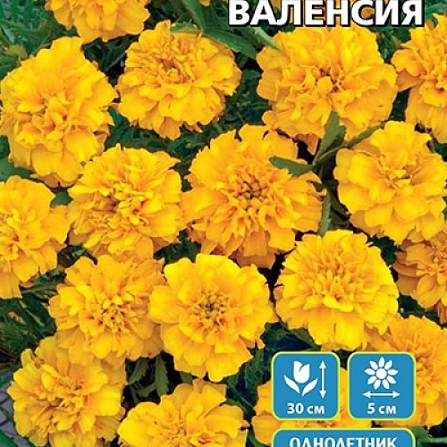 Семена Бархатцы Валенсия 0,2гр (УД) Е/П