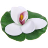 Растение водоплавающее "Кувшинка Экзотик" d-15см белая