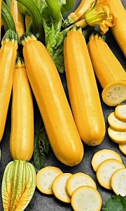 Семена Кабачок Герман 10шт (УД) Е/П