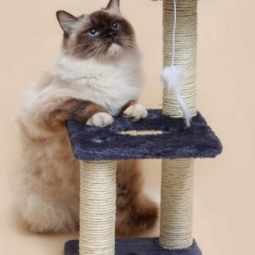 Когтеточка напольная "МУРРРЛЫКА", цвет серый, 40*20*20см 