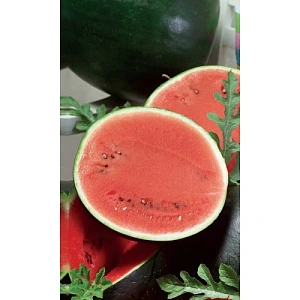 Семена Арбуз Ультраскороспелый 1гр (Марс)Б/П