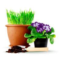 Все для цветов и растений