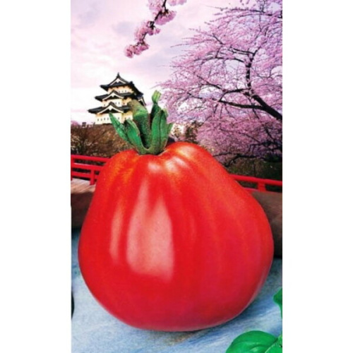 Семена Томат Японский Трюфель 20шт (УД) Е/П