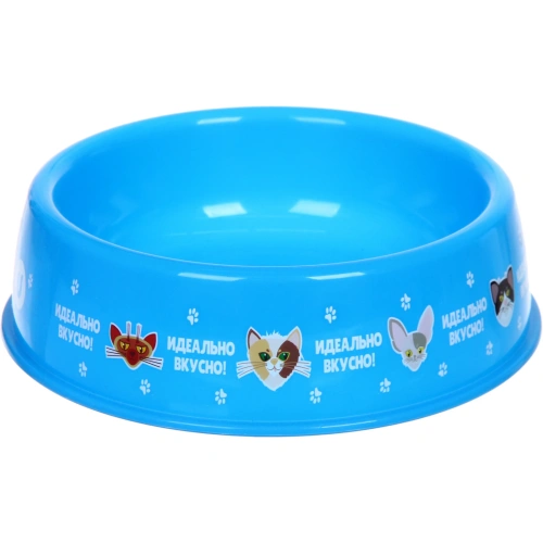 Миска пластиковая "МОЙ БРО - Идеально вкусно!, цвет небесно- синий  21*6,5см (логотип на миске) 700мл