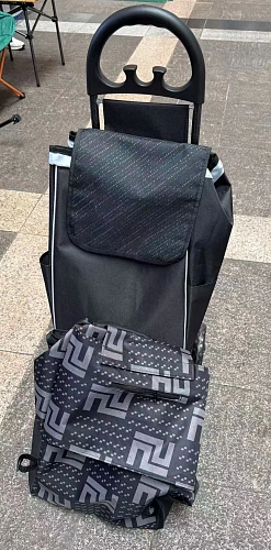 Тележка хозяйственная с сумкой (96*26*36см, колеса 15.5см,груз. до 30 кг.) черная DC307GG