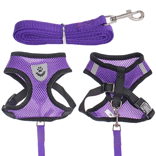 Шлейка с поводком 118см "Sweet puppy" размер S, цвет фиолетовый