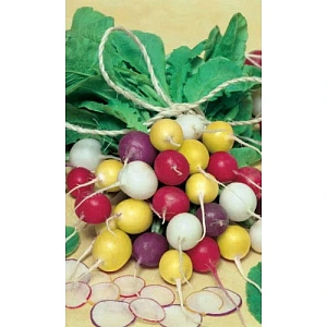 Семена Редис Салют Варнавина 2гр (УД) Е/П