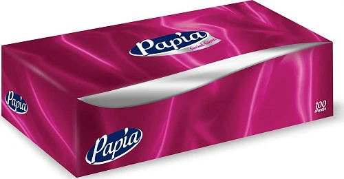 Салфетки бумажные косметические PAPIA 2 сл., 100л (пенал)