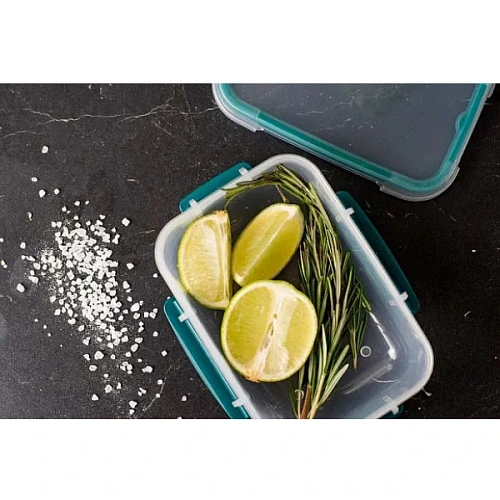 Контейнер для продуктов 0,75л BUTTERFLY хвоя_2