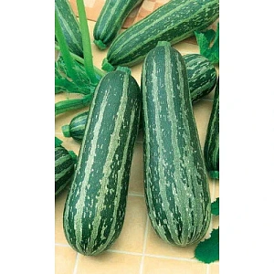 Семена Кабачок Зебра - цуккини 2гр (Марс) Б/П