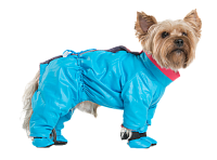 Одежда и обувь для животных