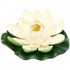 Растение водоплавающее "Кувшинка Розитта" d-15см белая